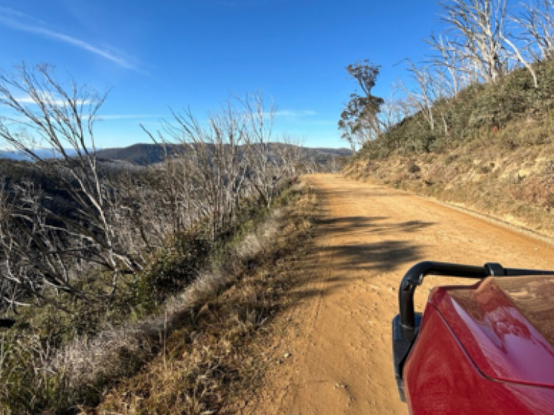 Dargo High Plains Road