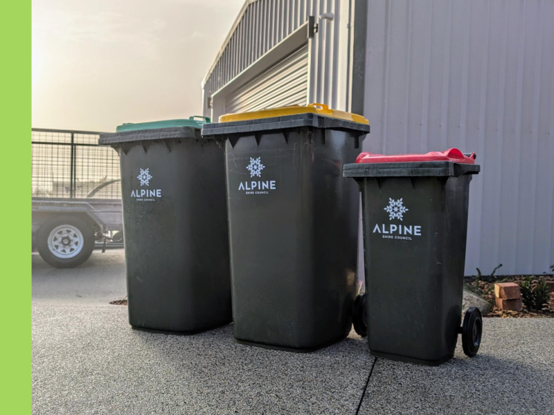 Three kerbside bins from the Alpine Shire placed on a driveway in front of a white colourbond shed.