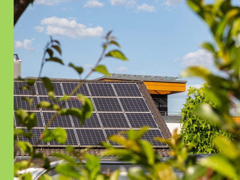 Solar panels on a sloped brown roof, framed by branches from a tree.