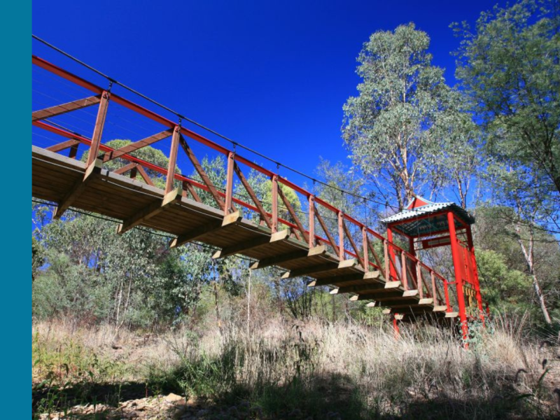 An undershot of a red bridge, surrounded by gum trees.