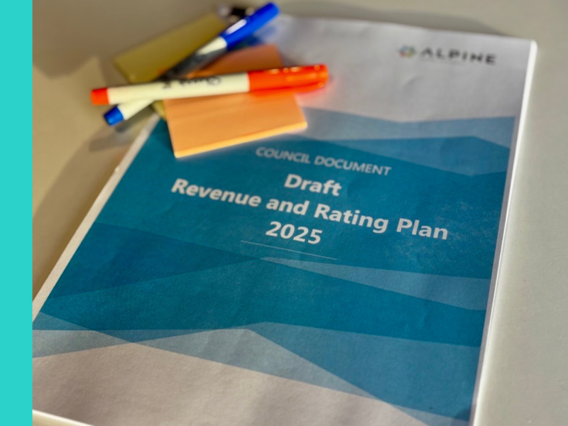 Revenue and Rating Plan 2025