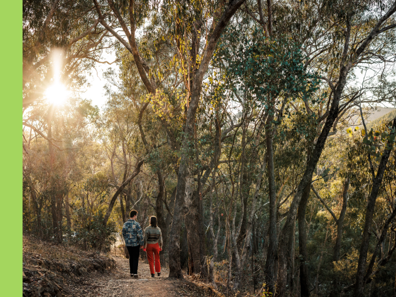 Climate Action Plan