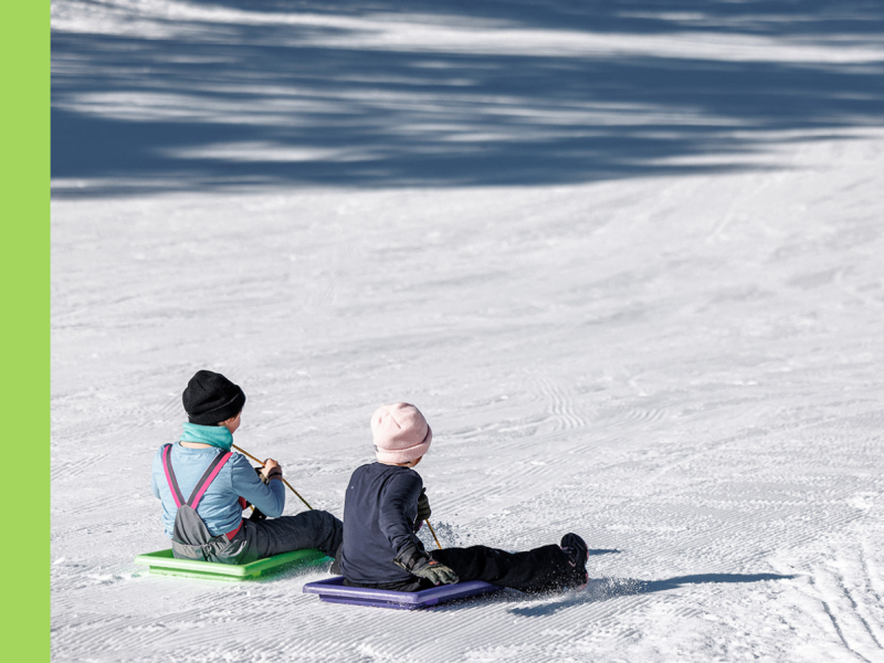 Peashooter Toboggan Run