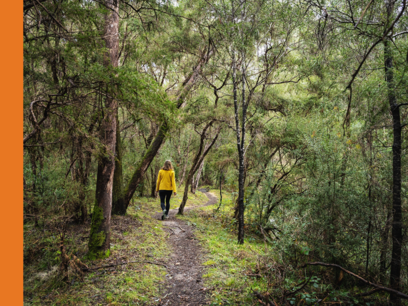 Woman in yellow raincoat walking on a narrow dirt path through thick trees.