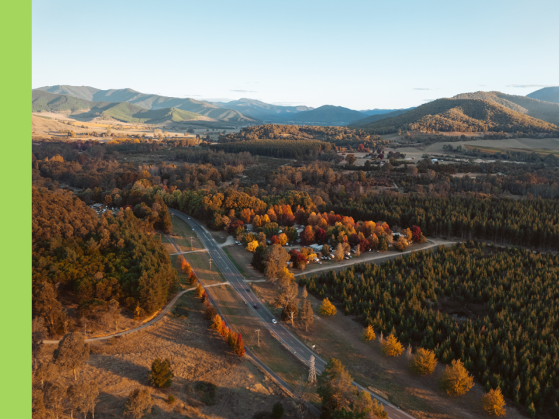 Aerial image of Bright with red and orange trees lining a winding road with hills in the background.