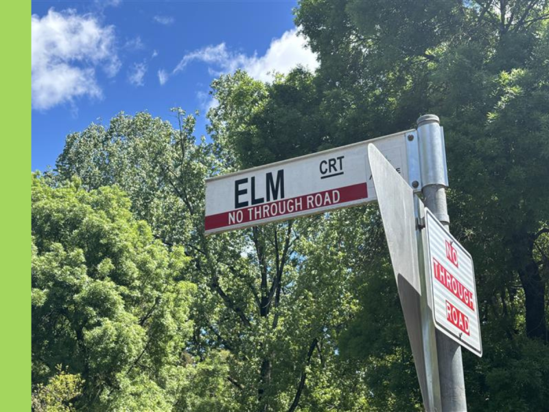A street sign that says ELM CRT with NO THROUGH ROAD printed underneath.