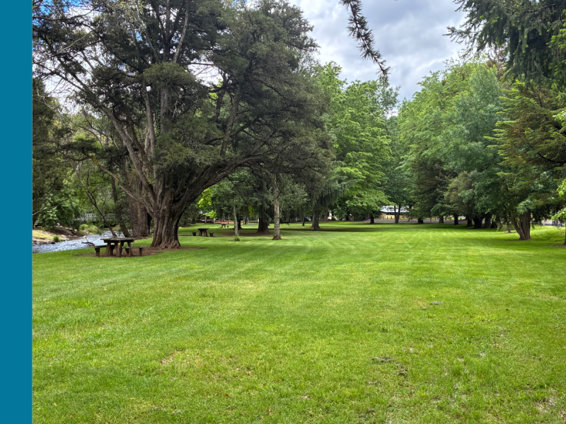 A grass field with a river to the left and big trees.