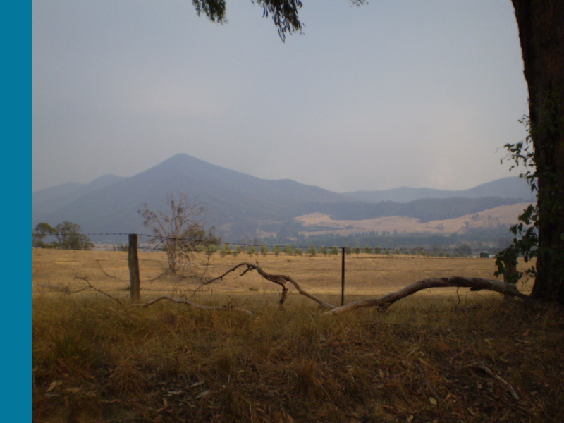 Rural farmland with a hill in the background and a heat haze over it.