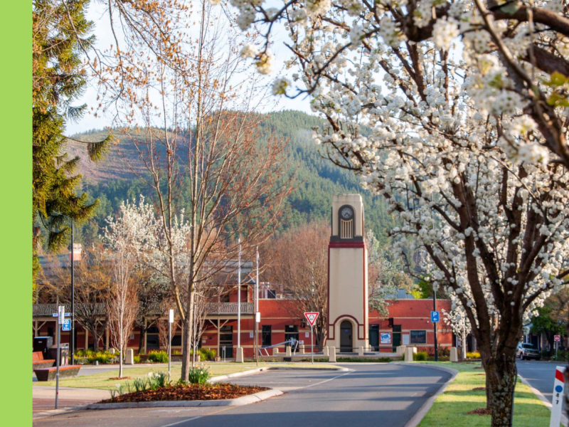 A pretty street in a regional town with a clocktower at the end of a road and hills in the background.