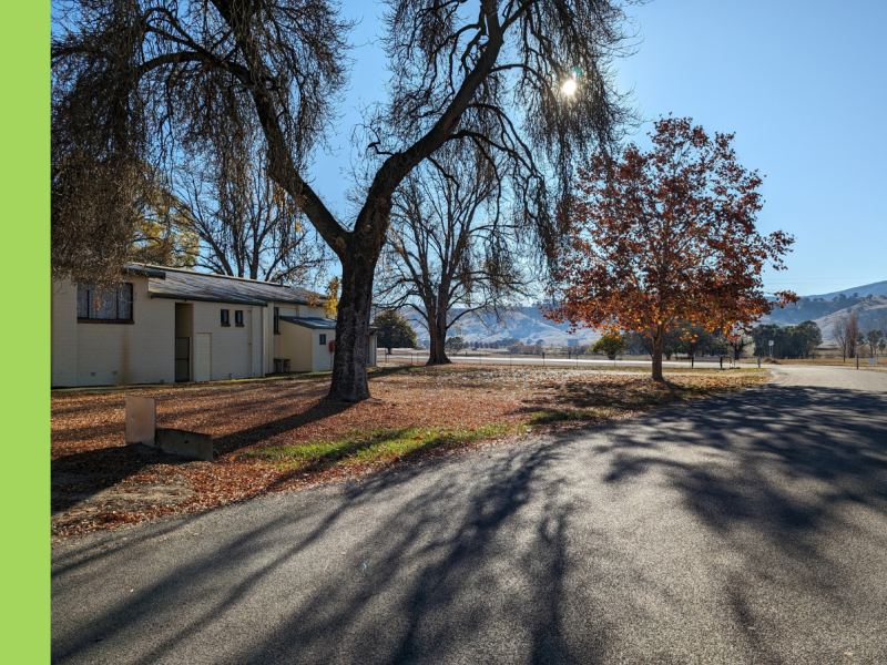 Two trees between a driveway to the right and a community hall to the left, clad in white weatherboard.