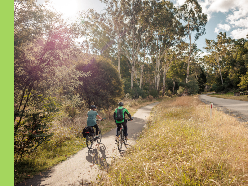 Two people ride bikes along a path with trees on the left and tall grasses on the right.