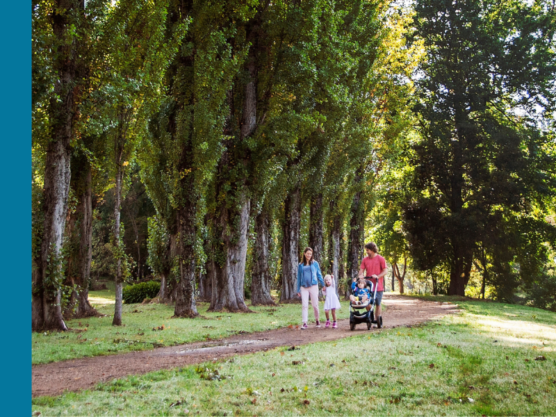 A family walks along a footpath, with the mother holding the hand of a little girl, and the father pushing a younger boy in a pram. In the background is green trees.