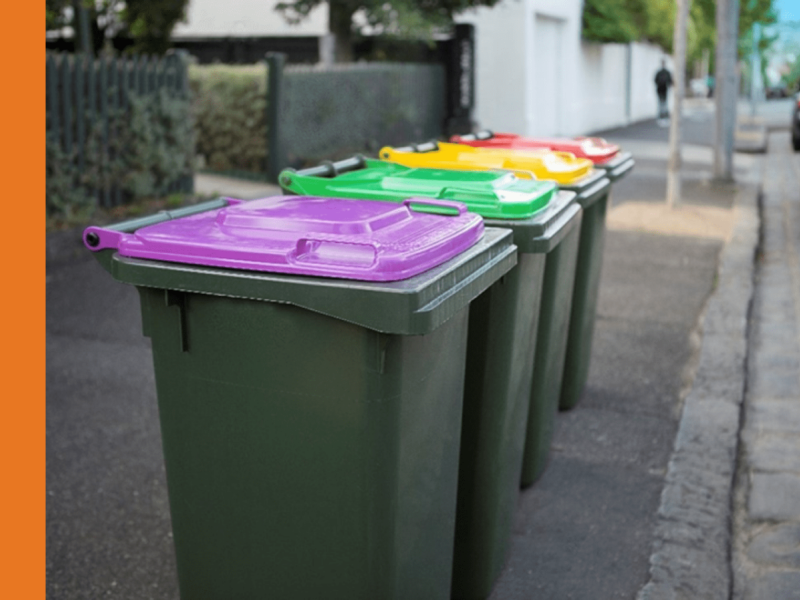 A row of four green kerbside bins lined up on a footpath with lids of various colours. In order, the colours are purple, green, yellow and red. Fences and street trees can be seen in the background.