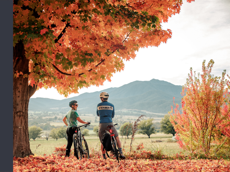Two people stand next to their bicycles on the side of a cycling path, next to a large tree with vibrant orange leaves. Mount Bogong is in the background.
