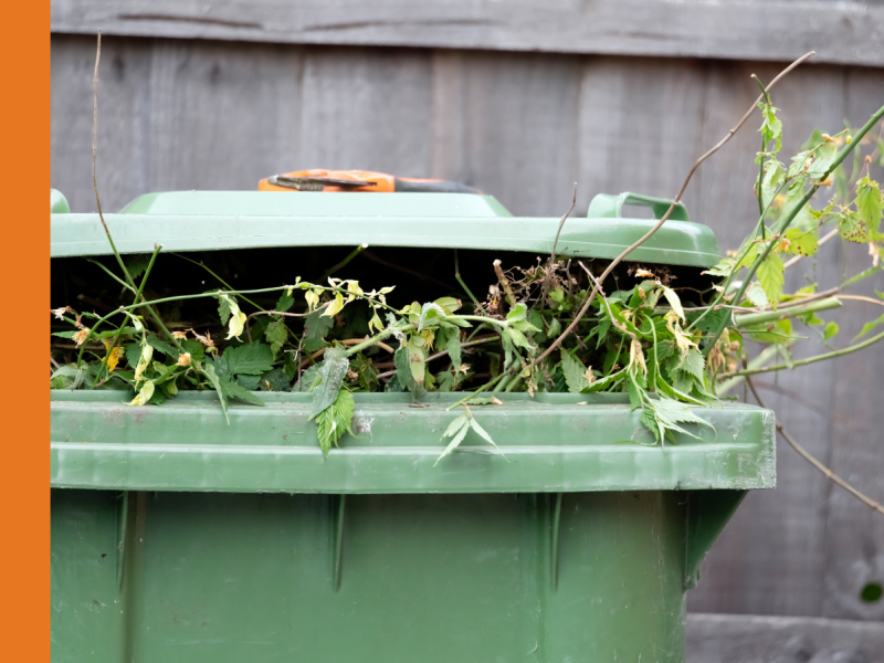 A green bin with garden waste in it