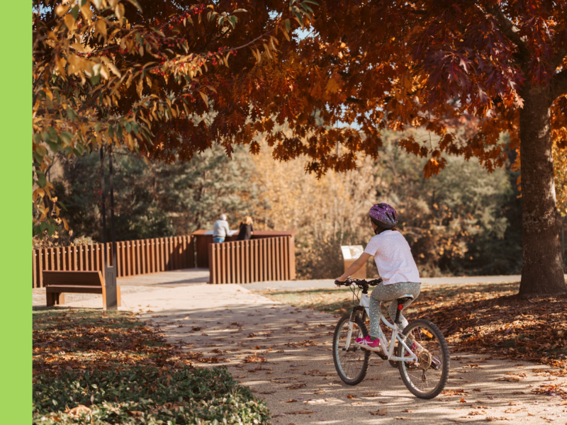 A young person rides a bike on a footpath next to a big tree full of autumn leaves.