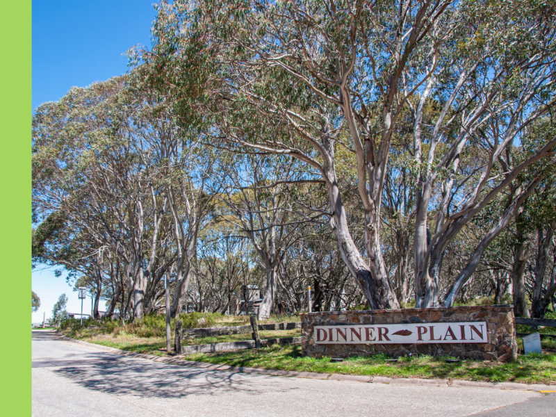 The entrance of the Dinner Plain Village with a sign reading "Dinner Plain" in front of snow gums in summer, with green grass and blue sky.