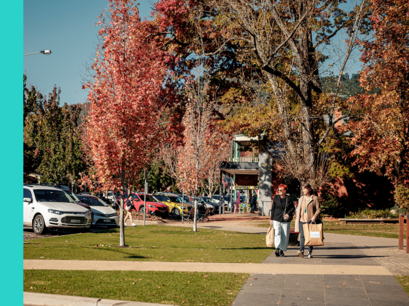 Two women walk down a footpath holding bags of shopping, against a vibrant backdrop of autumn leaves on trees, and parked cars along a busy town street.