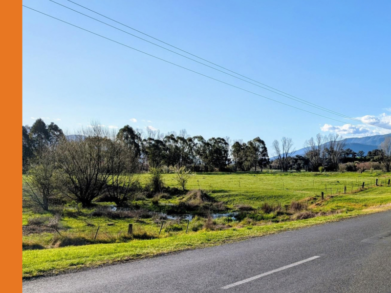 A rural road next to an open field.