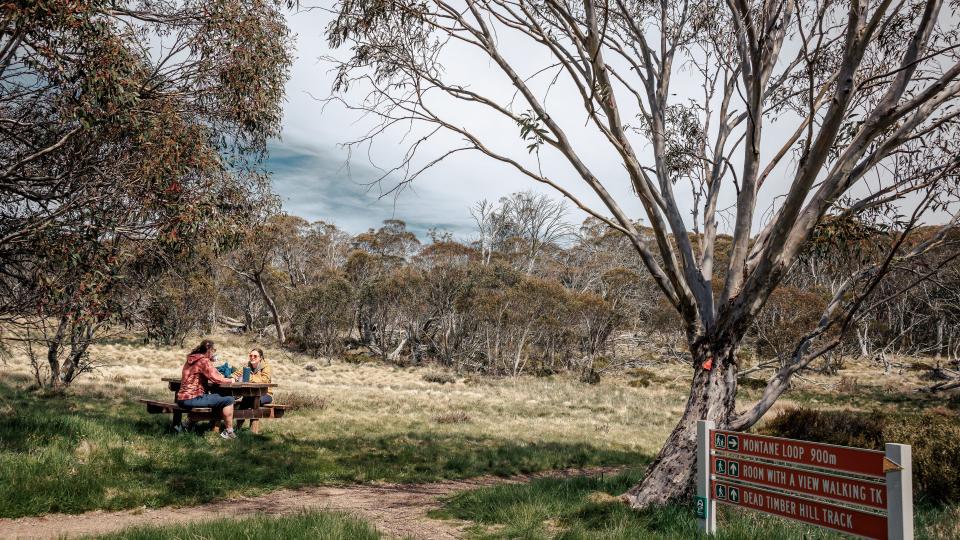 Two white women sit at a picnic table situated off a dirt track. There are trees not too far away.