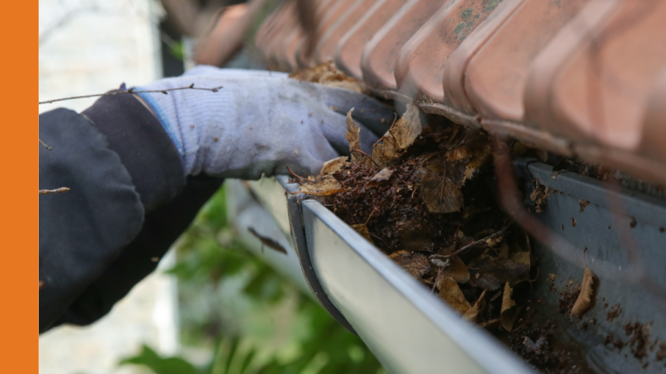 A gloved hand reaches into a gutter to pull out leaves.