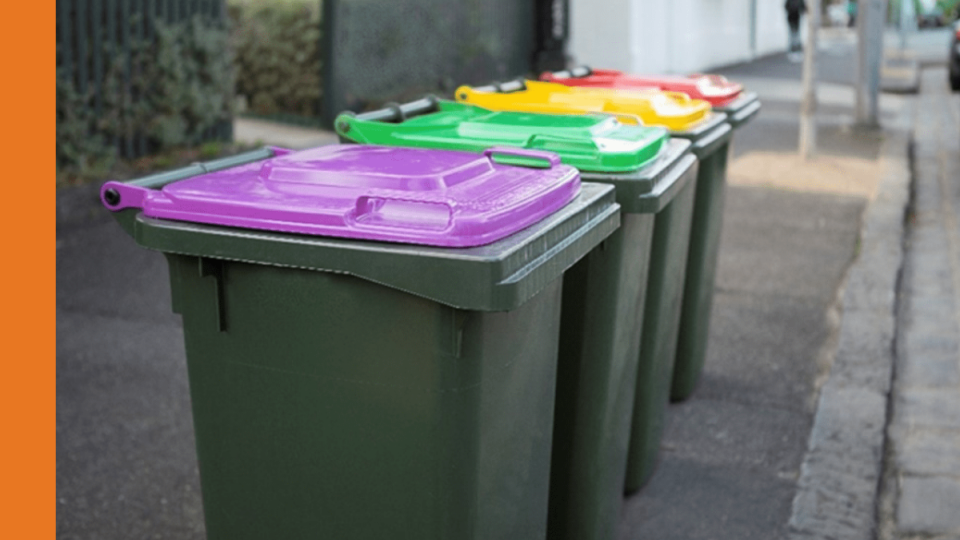 A row of four green kerbside bins lined up on a footpath with lids of various colours. In order, the colours are purple, green, yellow and red. Fences and street trees can be seen in the background.