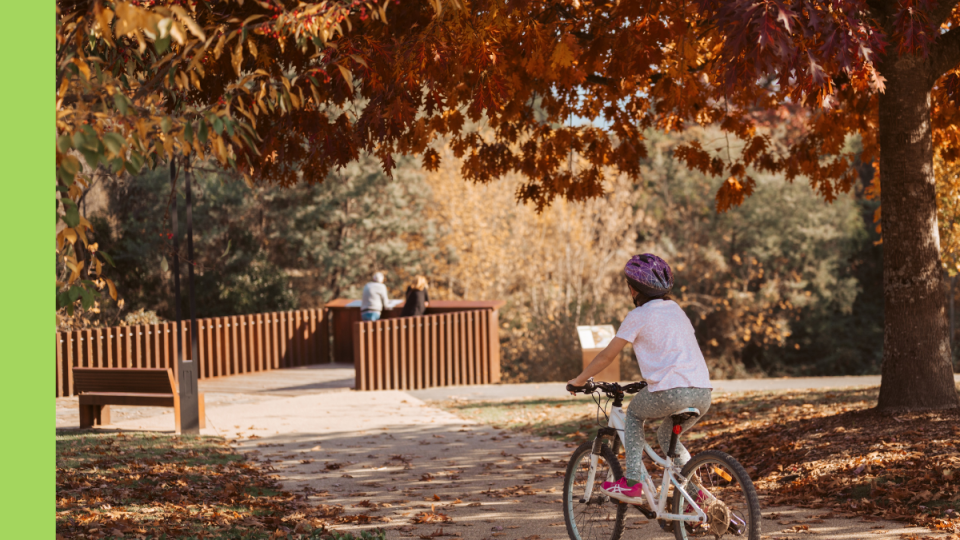 A young person rides a bike on a footpath next to a big tree full of autumn leaves.