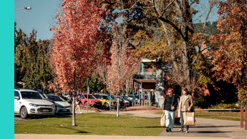 Two women walk down a footpath holding bags of shopping, against a vibrant backdrop of autumn leaves on trees, and parked cars along a busy town street.