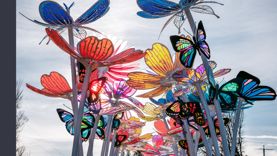 A close up image of the art installation in Porepunkah, featuring brightly coloured flowers and butterflies on large poles high in the air.